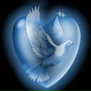 Андрій Дехтярук фотография #6 (источник - https://vk.com/id164672291)