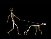 Василь Міляновський фотография #42 (источник - https://vk.com/id157342237)