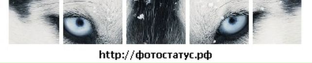 Іванна Кушнір фотография #36 (источник - https://vk.com/id32144225)