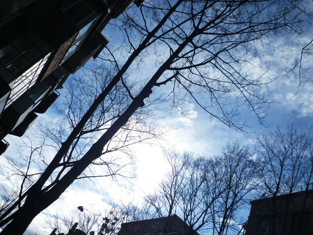 Dragon Fly фотография #34