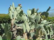 Валерій Михальський фотография #39 (источник - https://vk.com/id33222404)