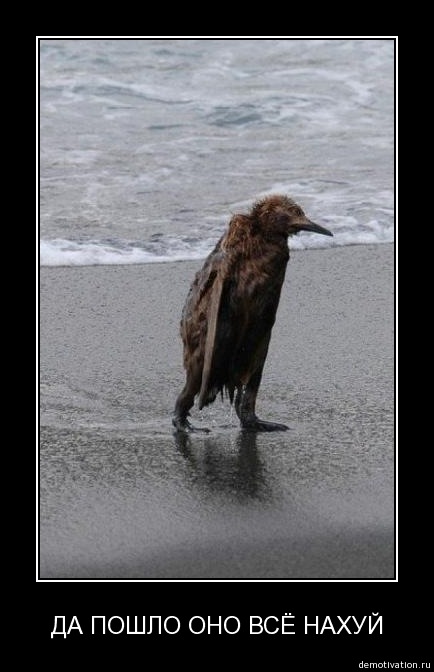 Рамиль Султанов фотография #46