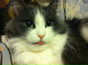 Фотография Бакиевой Ольги