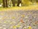 Ірішка Гедзенко фотография #37 (источник - https://vk.com/id136042642)