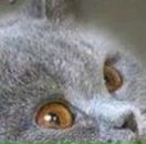 Андрій Васютин фотография #22 (источник - https://vk.com/id17618279)