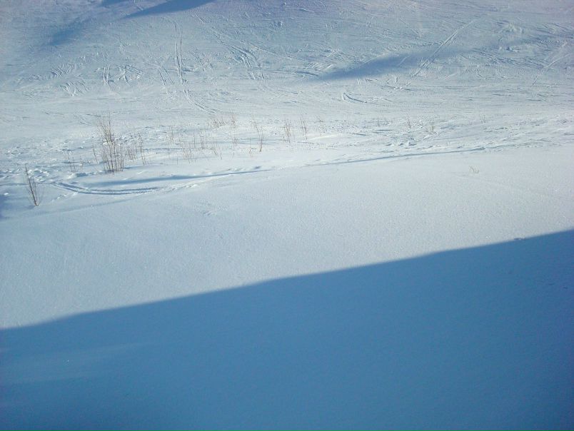 Анна Ковалева фото №39