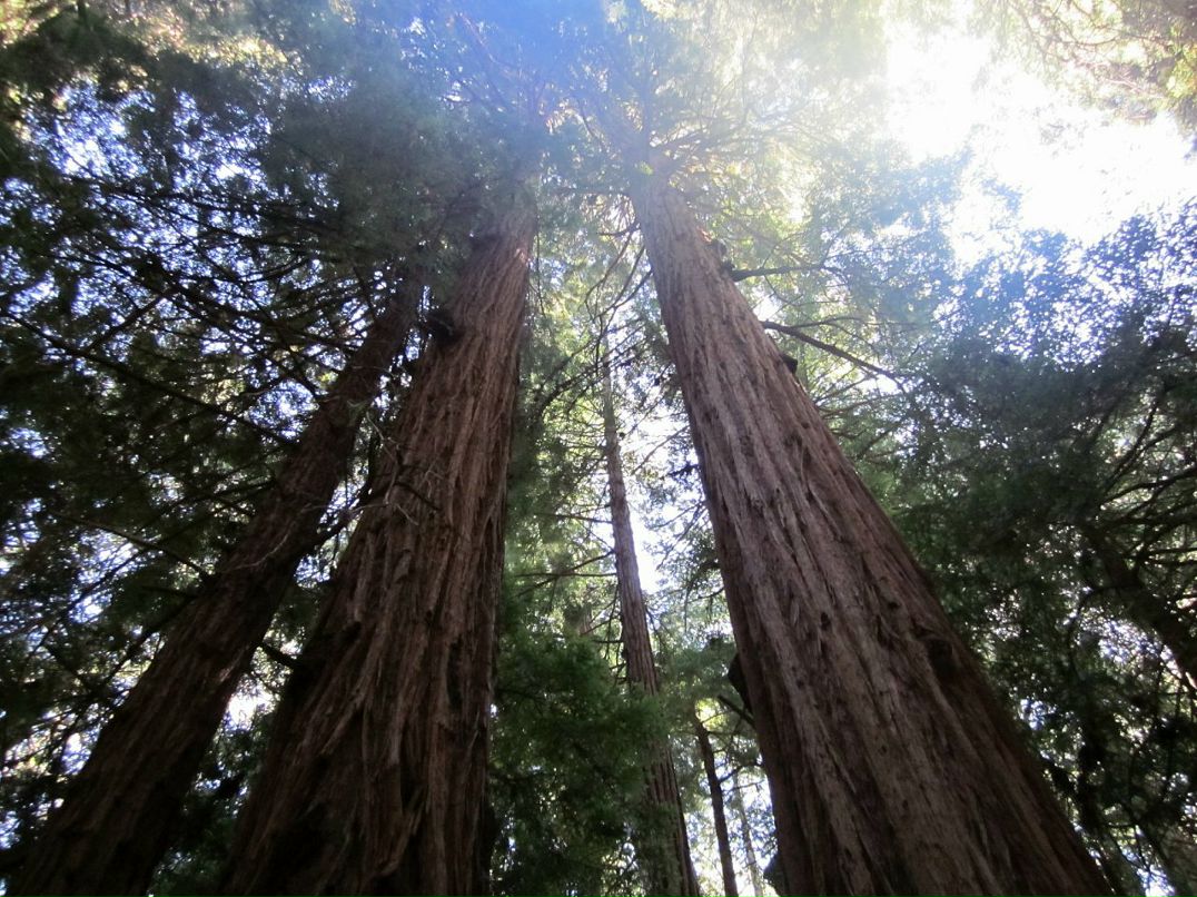 Вячеслав Хан фотография #31