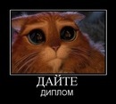 Фотография Гринько Лены