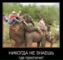 Андрій Шевчишин фотография #23 (источник - https://vk.com/id67460602)