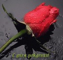 Катя Олійник фотография #13 (источник - https://vk.com/id74813917)