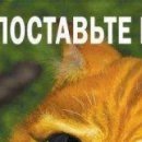 Іван Ткачук фотография #29 (источник - https://vk.com/id133177131)
