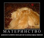 Іринка Лавренко фотография #13 (источник - https://vk.com/id23702185)