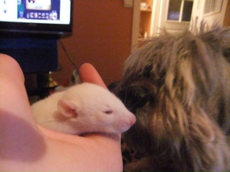 Марина Евсюкова фотография #21