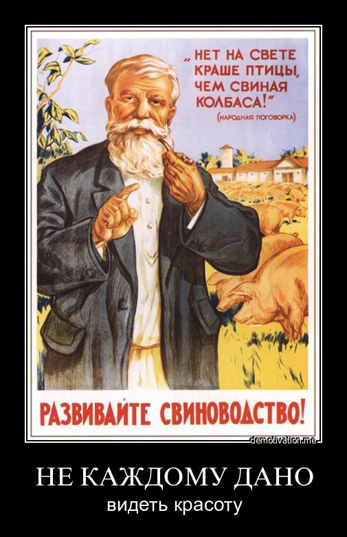 Николай Логинов фотография #47