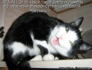 Андруся:)) Лозинська фотография #12 (источник - https://vk.com/id121655750)