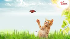 Фотография Кир Евгении