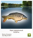 Николай Полозун фотография #17 (источник - https://vk.com/id135139321)