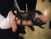 Фотография Язаровой Айзили