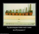 Віталій Лях фотография #41 (источник - https://vk.com/id9130346)