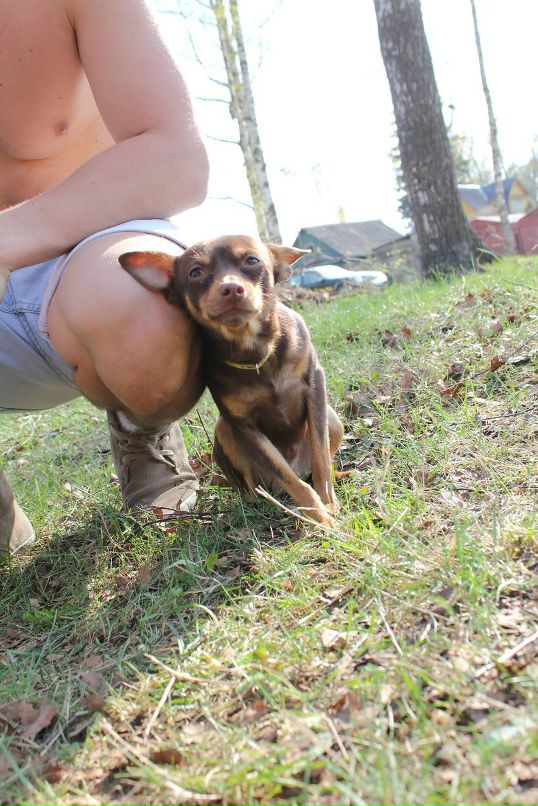 Игорь Белов фотография #42