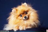 Фотография Ваньковой Оксаны