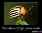 Андрій Бойцун фотография #27 (источник - https://vk.com/id12789472)