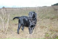 Артём Васильев фотография #38 (источник - https://vk.com/id657491)