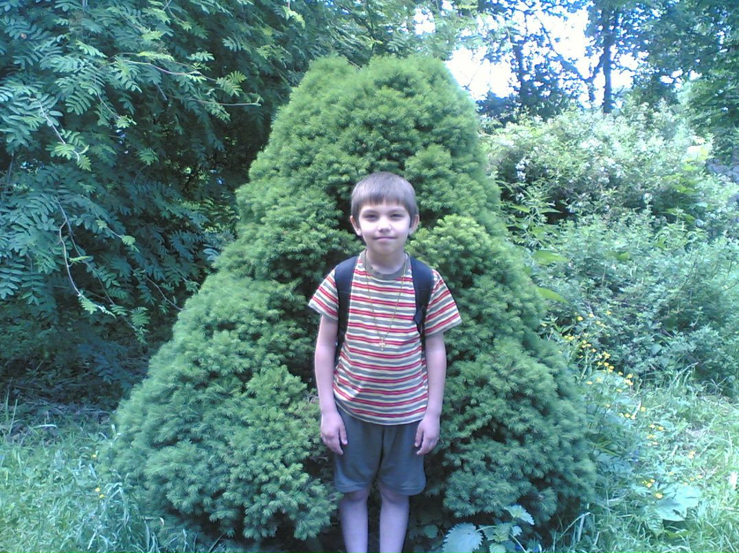 Андрей Бояркин фотография #42