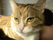 Фотография Суворовой Натальи