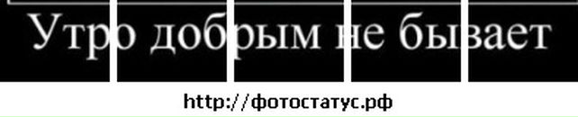 Славік Трофимлюк фотография #27 (источник - https://vk.com/id16390422)