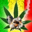 Діма Журавлюк фотография #2 (источник - https://vk.com/id135039817)