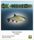 Георгій Пуцкін фотография #42 (источник - https://vk.com/id98163851)