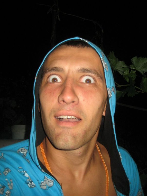 Lazy Pringles фотография #33