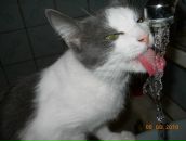 Фотография Абрамовой Екатерины