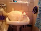 Иван Лихачев фотография #17 (источник - https://vk.com/id1633637)