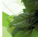 Катруся Полівода фотография #8 (источник - https://vk.com/id99062216)