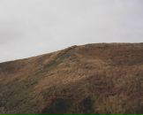 Фотография Дворецкой Насти