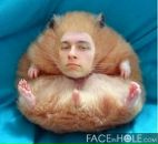 Фотография Мутсеры Марселя