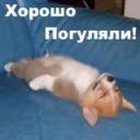 Влад Погорілко фотография #14 (источник - https://vk.com/id118198936)