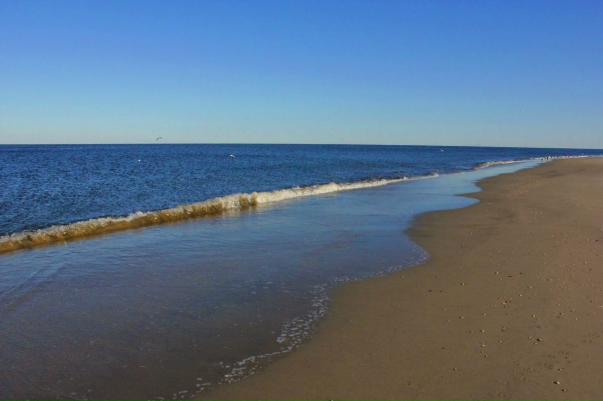 Глеб Петров фотография #39