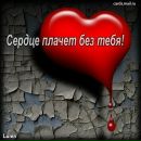 Світланка Милевська фотография #12 (источник - https://vk.com/id145517208)