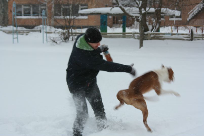 Дмитрий Шарапов фотография #37