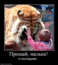Фотография Кушпелы Сергея