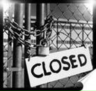 Фотография Convallaria Helga