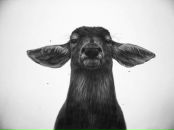 Фотография Пряниковой Маргариты