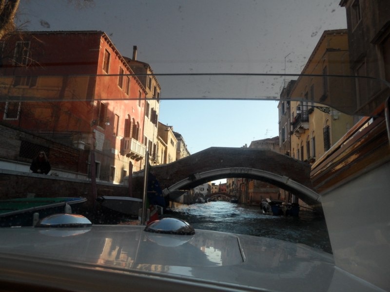 Александр Белич фотография #18