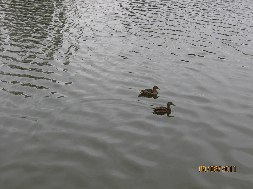 Андрей Макеенко фотография #22