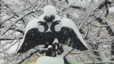 Фотография Мыховой Марины