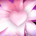 Фотография Rudakova Olya