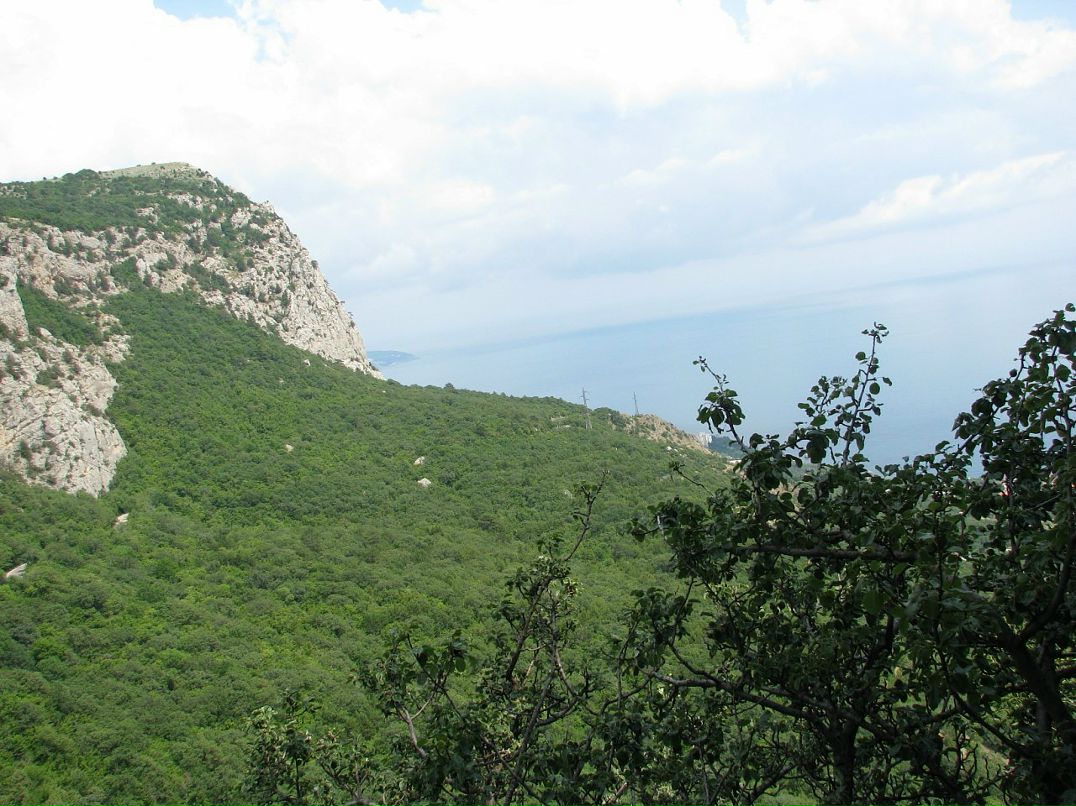 Мари Иванок фотография #46